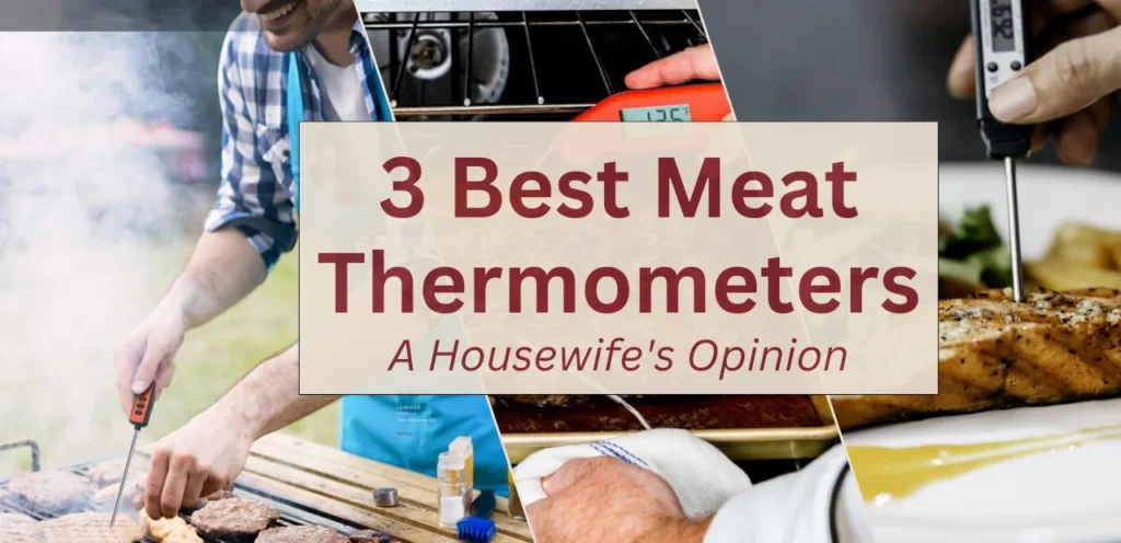 Best Meat Thermometers