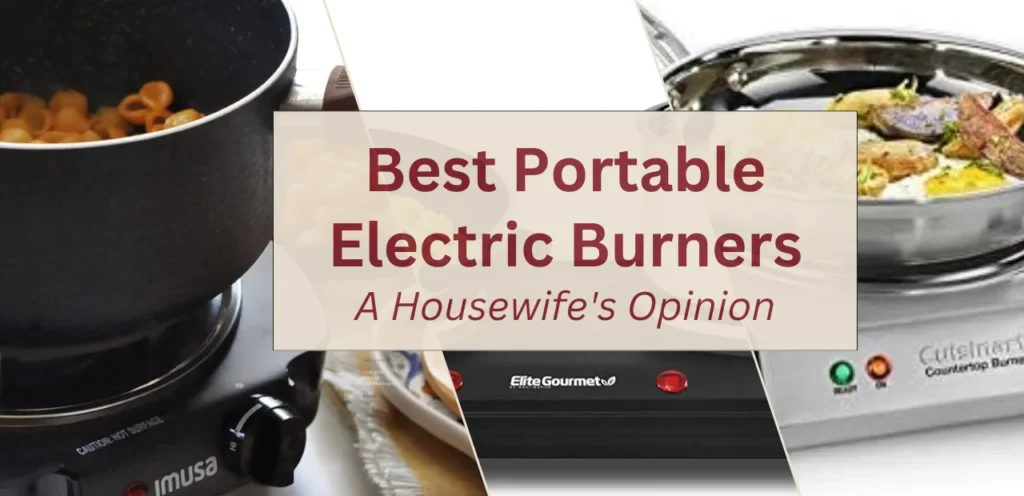 Best Portable Electric Burners