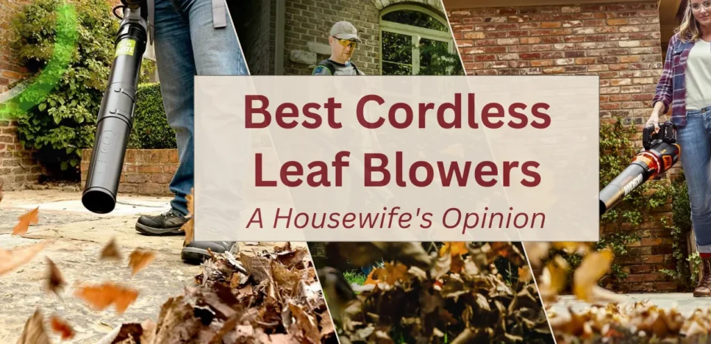 Best Cordless Leaf Blowers